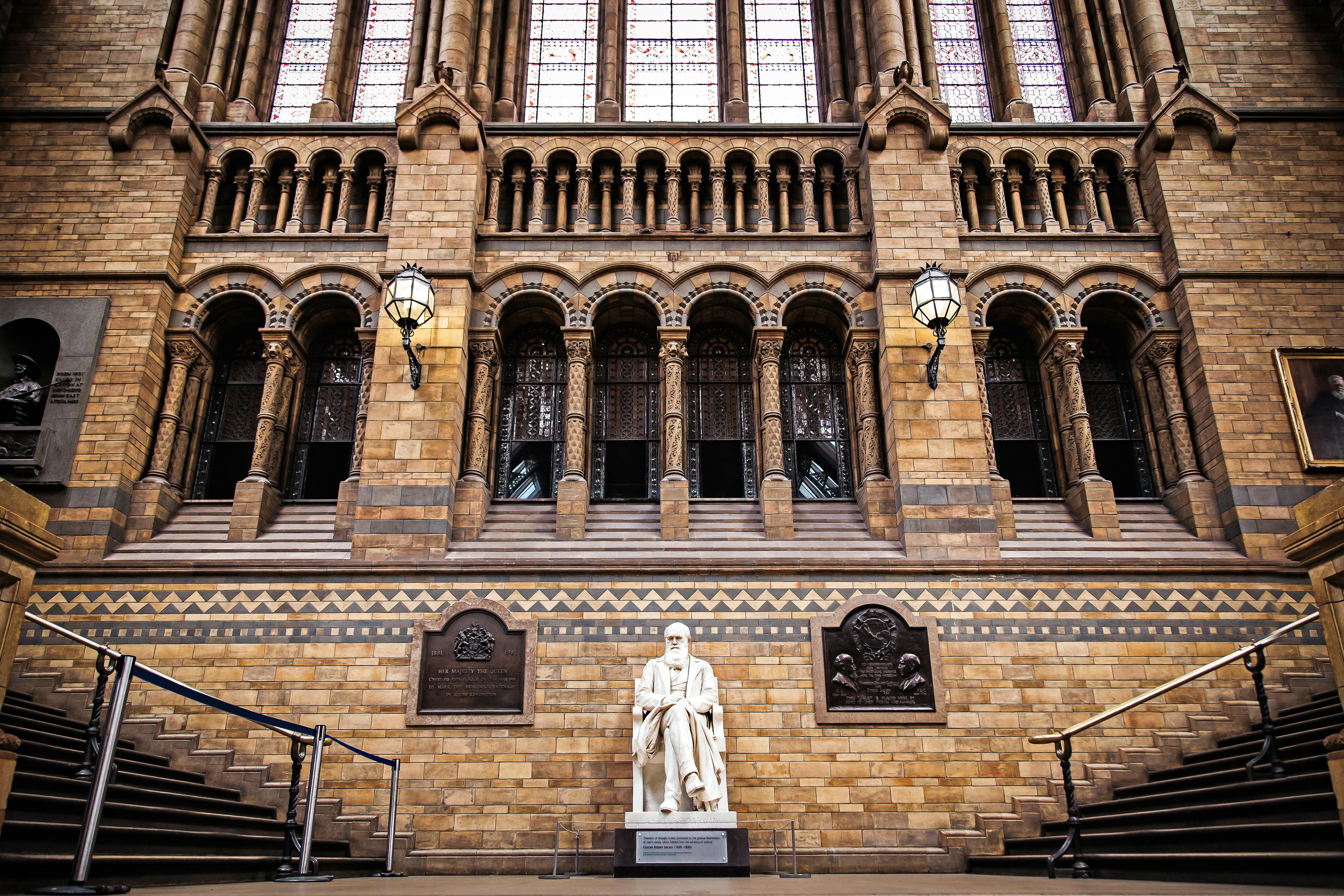 Museum artwork display